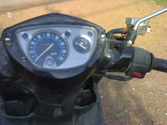 นูโวเอ็มเอ็กซ์ปี48แม็กแท้