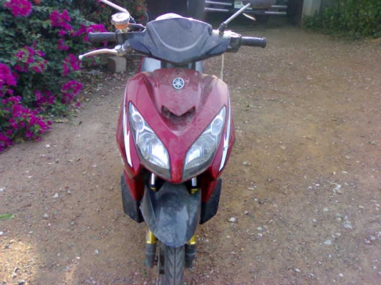 นูโวเอ็มเอ็กซ์ปี48แม็กแท้