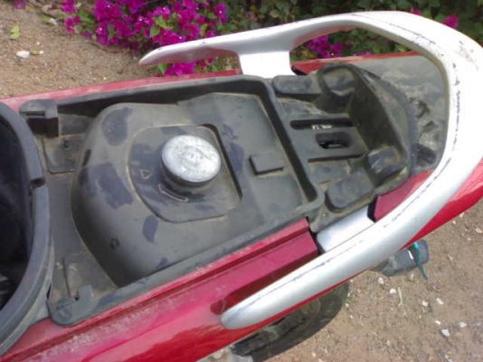 นูโวเอ็มเอ็กซ์ปี48แม็กแท้