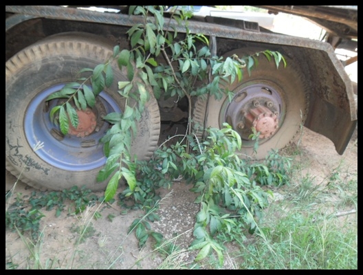 ฮีโน่ 3 ใบปัด เครื่อง 290 แรง สวยๆ