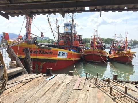 ขายเรือประมง