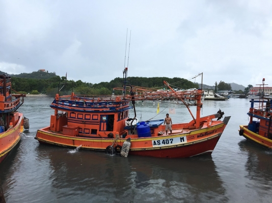 ขายเรือประมง