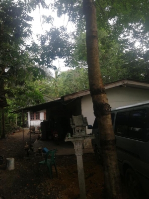 ขายที่ดินพร้อมสิ่งปลูกสร้างพื้นที่83ตารางวา