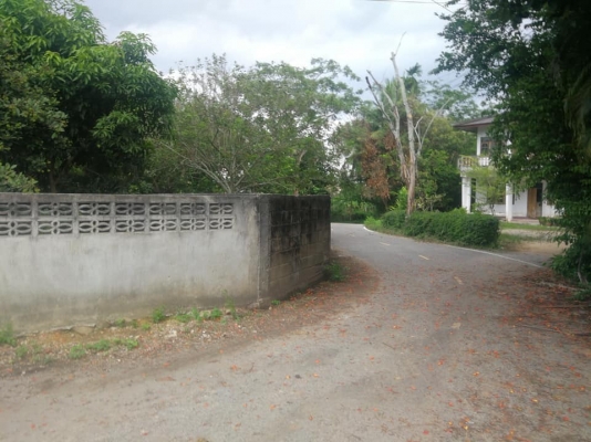 ขายที่ดินพร้อมสิ่งปลูกสร้างพื้นที่83ตารางวา