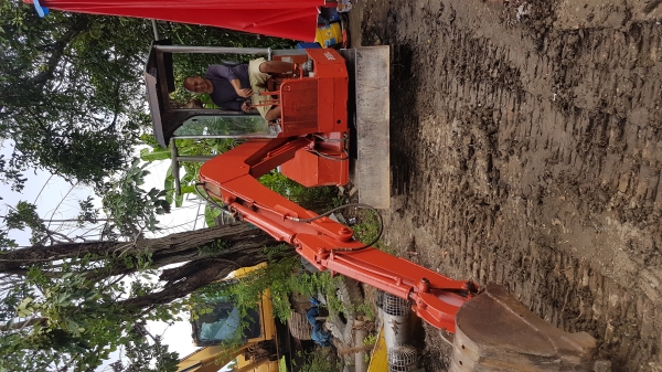 ขายรถขุดเล็กใช้ในสวนในไร่