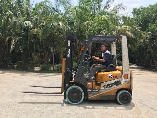 (นางฟ้ามาแล้ว)!! ขายFORKLIFT TCM FD10T12(1ตัน)(ออโต้)สวยเดิมจากญี่ปุ่น ยังไม่เคยใช้ในไทย 145,000เท่านั้น!!