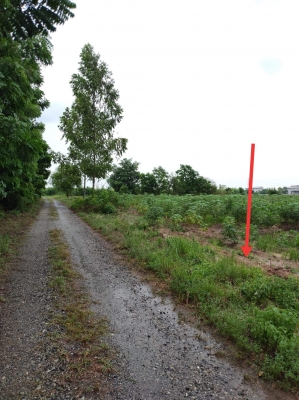 ที่ดินเปล่า ที่ดินเปล่า