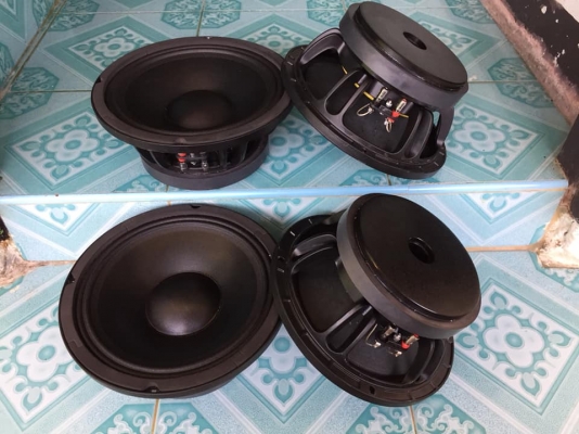 ดอกเสียงกลาง10&rdquo;ขายคูละ 1400 บาท ใช้งานปกติทุกชิ้น สนใจ0892425454 อยู่สระบุรี