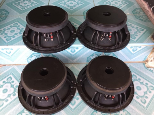 ดอกเสียงกลาง10”ขายคูละ 1400 บาท ใช้งานปกติทุกชิ้น สนใจ0892425454 อยู่สระบุรี ดอกเสียงกลาง10”ขายคูละ 1400 บาท ใช้งานปกติทุกชิ้น สนใจ0892425454 อยู่สระบุรี