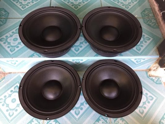 ดอกเสียงกลาง10”ขายคูละ 1400 บาท ใช้งานปกติทุกชิ้น สนใจ0892425454 อยู่สระบุรี ดอกเสียงกลาง10”ขายคูละ 1400 บาท ใช้งานปกติทุกชิ้น สนใจ0892425454 อยู่สระบุรี