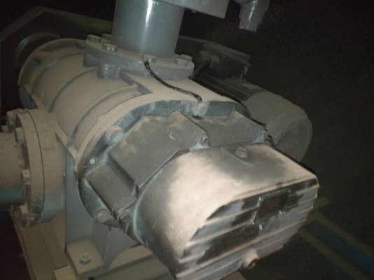 รูทโบวเวอร์