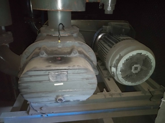 รูทโบวเวอร์