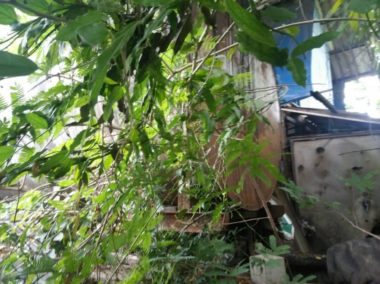 ถังใส่ยางมะตอย(แอสฟัล) จุ16,000ลิตร สภาพดี มี1ลูกขายเลิกกิจการ ถังใส่ยางมะตอย(แอสฟัล) จุ16,000ลิตร สภาพดี มี1ลูกขายเลิกกิจการ