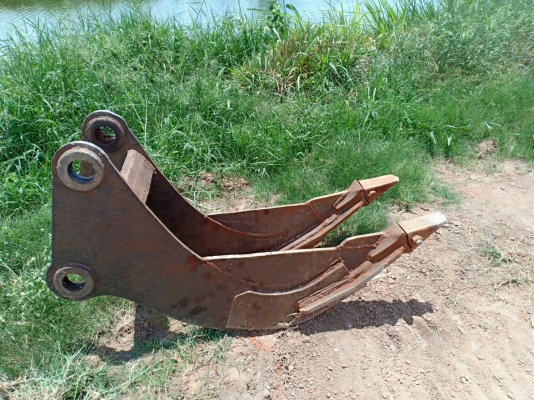 ขายบุ้งกี๋ขุดตอ