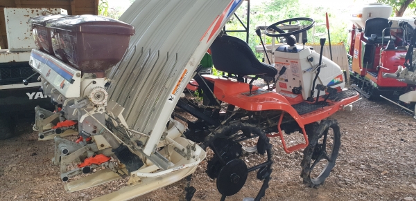 4 แถว รถดำนา ถาดสวย