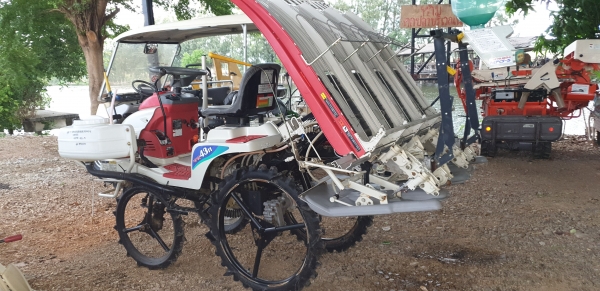 4 แถว 2 หัวดำ มีตัวหยดปุ๋ยน้ำ ใสปุ๋ยเมล็ดถามสวยไม่แตกไม่งอ