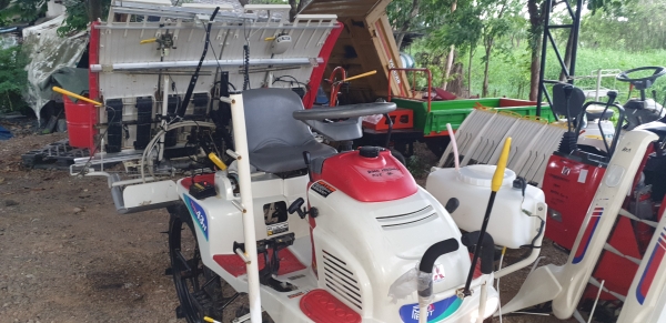 4 แถว 2 หัวดำ มีตัวหยดปุ๋ยน้ำ ใสปุ๋ยเมล็ดถามสวยไม่แตกไม่งอ