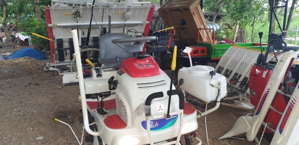 4 แถว 2 หัวดำ มีตัวหยดปุ๋ยน้ำ ใสปุ๋ยเมล็ดถามสวยไม่แตกไม่งอ