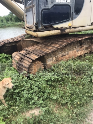 ขายด่วน แบคโฮ Komatsu 200รุ่น6 ไฟฟ้าครบ เครื่องเดิม ปั้มเดิม บูส โซ่ดี ทะเบียนพร้อม เฟรมผุบ้าง ขายเพียง 460000 บาท ขายด่วน แบคโฮ Komatsu 200รุ่น6 ไฟฟ้าครบ เครื่องเดิม ปั้มเดิม บูส โซ่ดี ทะเบียนพร้อม เฟรมผุบ้าง ขายเพียง 460000 บาท