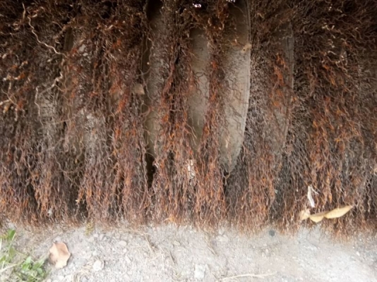 รถกวาดถนน รถกวาดถนน