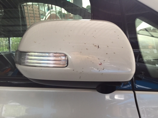 ขายฝาครอบกระจกมองข้างรถตู้ TOYOTA รุ่น ALPHARD ปี08