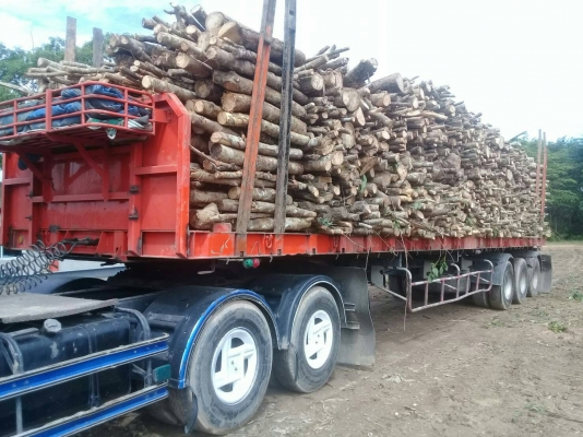 ขายหัวลากISUZU DECA 360 ปี56 ไมล์600000 พร้อมหางพื้นเรียบพนัส3เพลาราคา 1,800,000