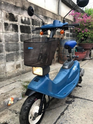 ขายรถป๊อป ้honda zook 50cc