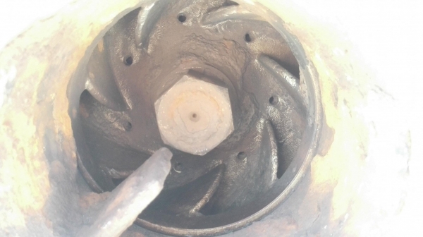 หัวปั้มน้ำหอยโข่งสเตนเลส ขนาดท่อ 6”- 5” ดูดถ่ายส่ง น้ำเค็ม เคมี ทนการกัดกร่อน หัวปั้มน้ำหอยโข่งสเตนเลส ขนาดท่อ 6”- 5” ดูดถ่ายส่ง น้ำเค็ม เคมี ทนการกัดกร่อน