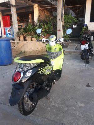 ฟีโน่ สีดำเขียวขาว ขับดี ขายถูกๆ ฟีโน่ สีดำเขียวขาว ขับดี ขายถูกๆ