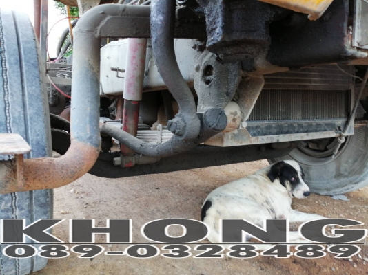 ขายด่วน รถหัวลาก Nissan CW40 265แรง 2เพลา ตอนเป็นเพลาเดียว เครื่องดี คัสซีสวย หัวผุบ้าง เพียง 250000 บาท