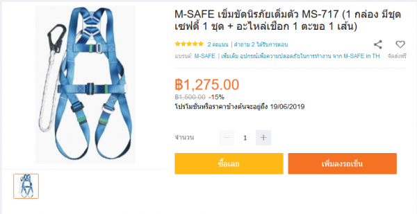 M-Safe  Safety Belt