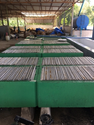 ตะกงตับยางแผ่น  ตะกง 50 แผ่น ครบชุด พร้อมใช้งาน   จำนวน 40 ชุด