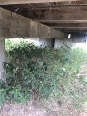 ขายด่วน กระบะ Isuzu115แรง คัสซี75ซม กว้าง2เมตร18 ยาว4เมตร50 ขายเพียง 18000 บาท