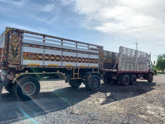 ดั้มเกษตร มาถึง อีกพ่วง 785,000 (แม่ดั้ม 2 เพลา -ลูกดั้ม 2 คาน) ISUZU ROCKY 240 แรง 2 เพลา สโลว์กลาง