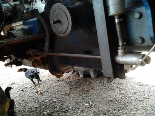 ขายรถไถพร้อมคีบ สภาพดี รถไถFORD6800 T2 เครื่องแน่นติดง่าย ปั๊มดี ยางดี4เส้นคานหน้าเปลี่ยนใหม่ ใหญ่กว่าเดิม พร้อมอุปกรณ์คีบ ของ อ.เกษตรรุ่งเรือง หนองกี่ คีบประมาณ2ปี ไม่เคยใ้ช้งานนอก คีบแต่งานเจ้่ของเอง สภาพสวย แขนดีไม่ปะ คีบสวย ปั๊มแห้งดี แรง ทำงานดี ไม่ม