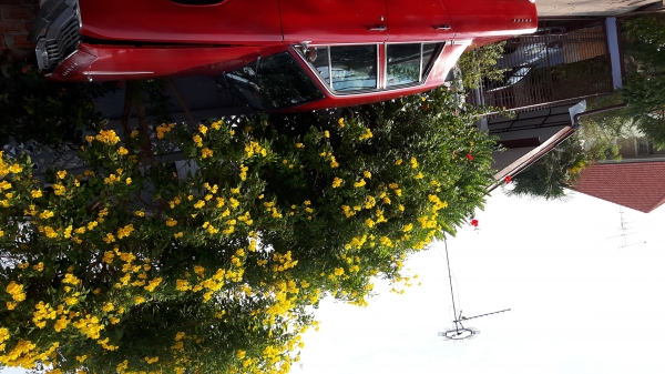 ขาย Chrysler Valiant   ปี 1967