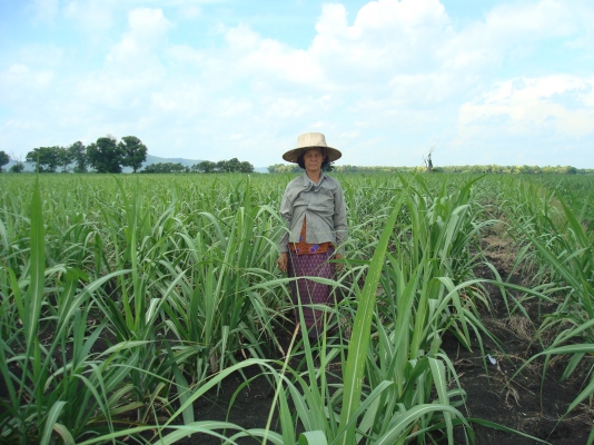 ขายรถไถFORD ขายรถไถFORD