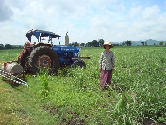 ขายรถไถFORD ขายรถไถFORD