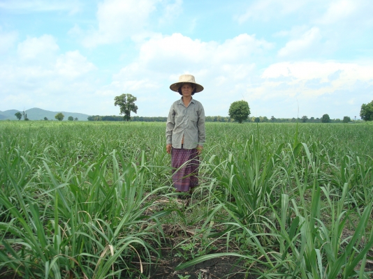 ขายรถไถFORD ขายรถไถFORD