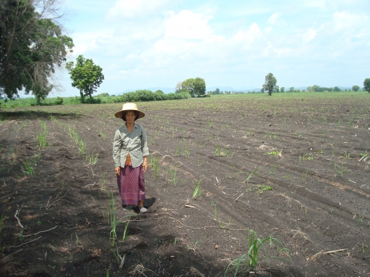 ขายรถไถFORD ขายรถไถFORD