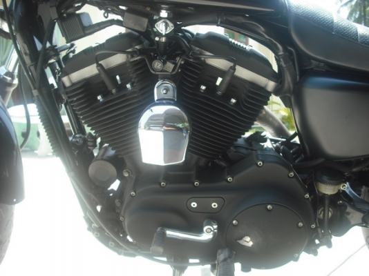 ขายสปอร์ตสเตอร์XL883Rปี06ราคา290,000บาท