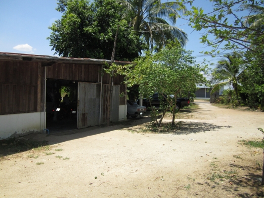 ขายที่ดินติดถนน 4 เลน พร้อมบ้าน