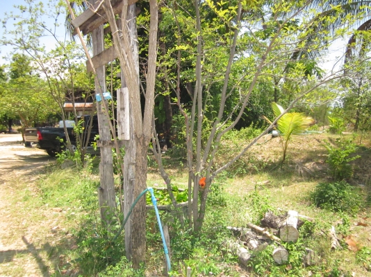 ขายที่ดินติดถนน 4 เลน พร้อมบ้าน