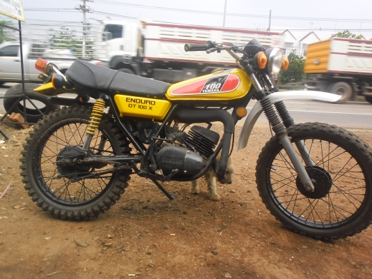 ขายด่วนdt100 ทำใหม่เครืองดี พร้อมโอนทั่วประเทศครับ