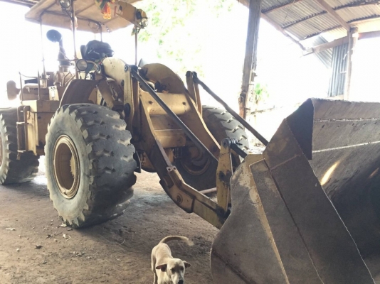 รถตัก CATERPILLAR 950B ต่อแขนเรียบร้อยแล้ว