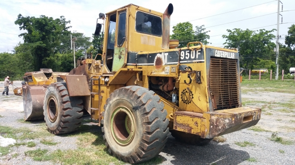 ขาย 695,000 CAT 950 F เครื่องดี เกียร์แรง เอวแน่น แขนตักสวย ยางใหม่ รถสวยพร้อมใช้ เอกสารซื้อขาย รถอยู่ นครราชสีมา 090-772-3710 090-772-3708 ขาย 695,000 CAT 950 F เครื่องดี เกียร์แรง เอวแน่น แขนตักสวย ยางใหม่ รถสวยพร้อมใช้ เอกสารซื้อขาย รถอยู่ นครราชสีมา 090-772-3710 090-772-3708