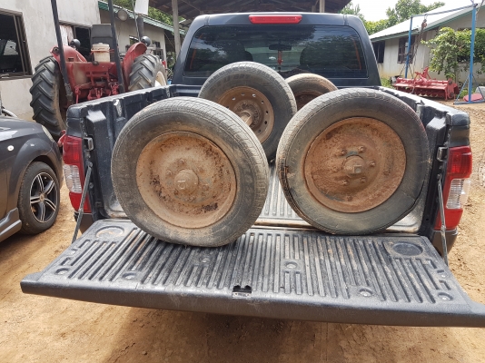 เพลาสาลี่