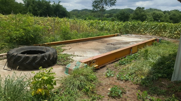 ขาย ตราชั่ง 50 ตัน กว้าง 3.40 เมตร ยาว 8 เมตร อุปกรณ์มีให้ครบ ราคาต่อรองได้