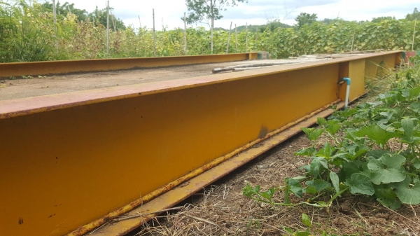 ขาย ตราชั่ง 50 ตัน กว้าง 3.40 เมตร ยาว 8 เมตร อุปกรณ์มีให้ครบ ราคาต่อรองได้