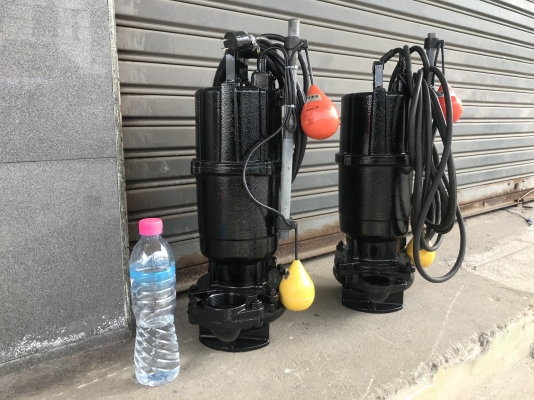 ขายไดโว่ Ebara 1HP. 220V ไฟบ้าน รุ่นมีลูกลอยตัดการทำงานในตัว made in Japan สภาพสวยมาก ขนาดท่อ 2นิ้ว หมุนนิ่ม พร้อมใช้งาน มี 2ตัวครับ